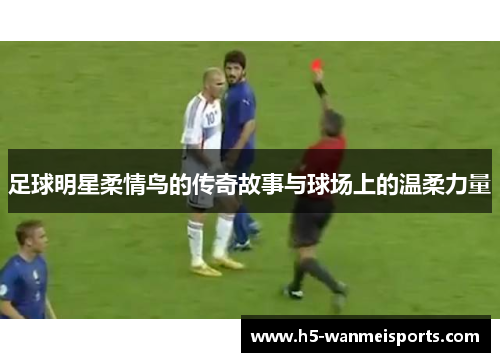 足球明星柔情鸟的传奇故事与球场上的温柔力量